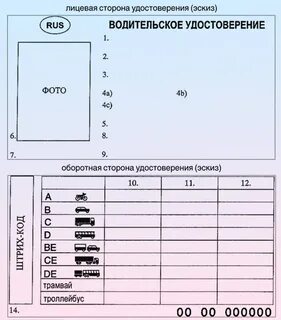 Бланк водительского