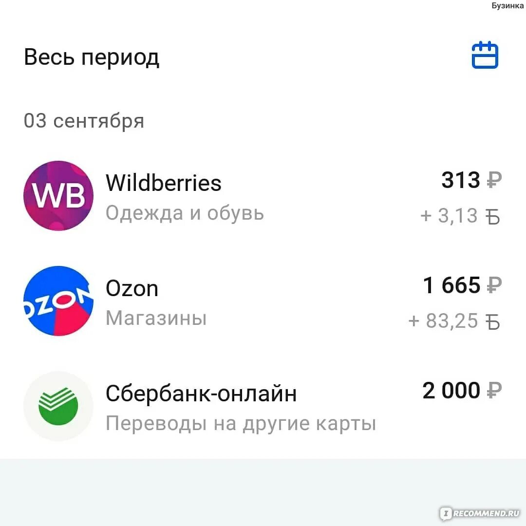 Кэшбэк на озон по сбп. Банковская карта Озон плюсы и минусы. Озон карта мир. Кэшбэк по карте Озон. Wildberries OZON карта предпочтений что покупают.