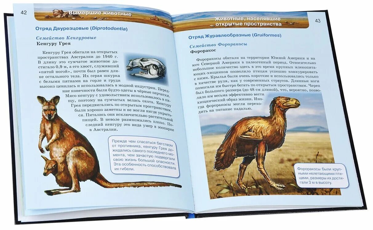 вымершие животные книга. энциклопедия; гетцель виктория. энциклопедия вымерших животных. энциклопедия вымершие животные эксмо. вымершие животные.