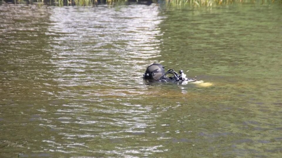 Реки выносят свои воды в