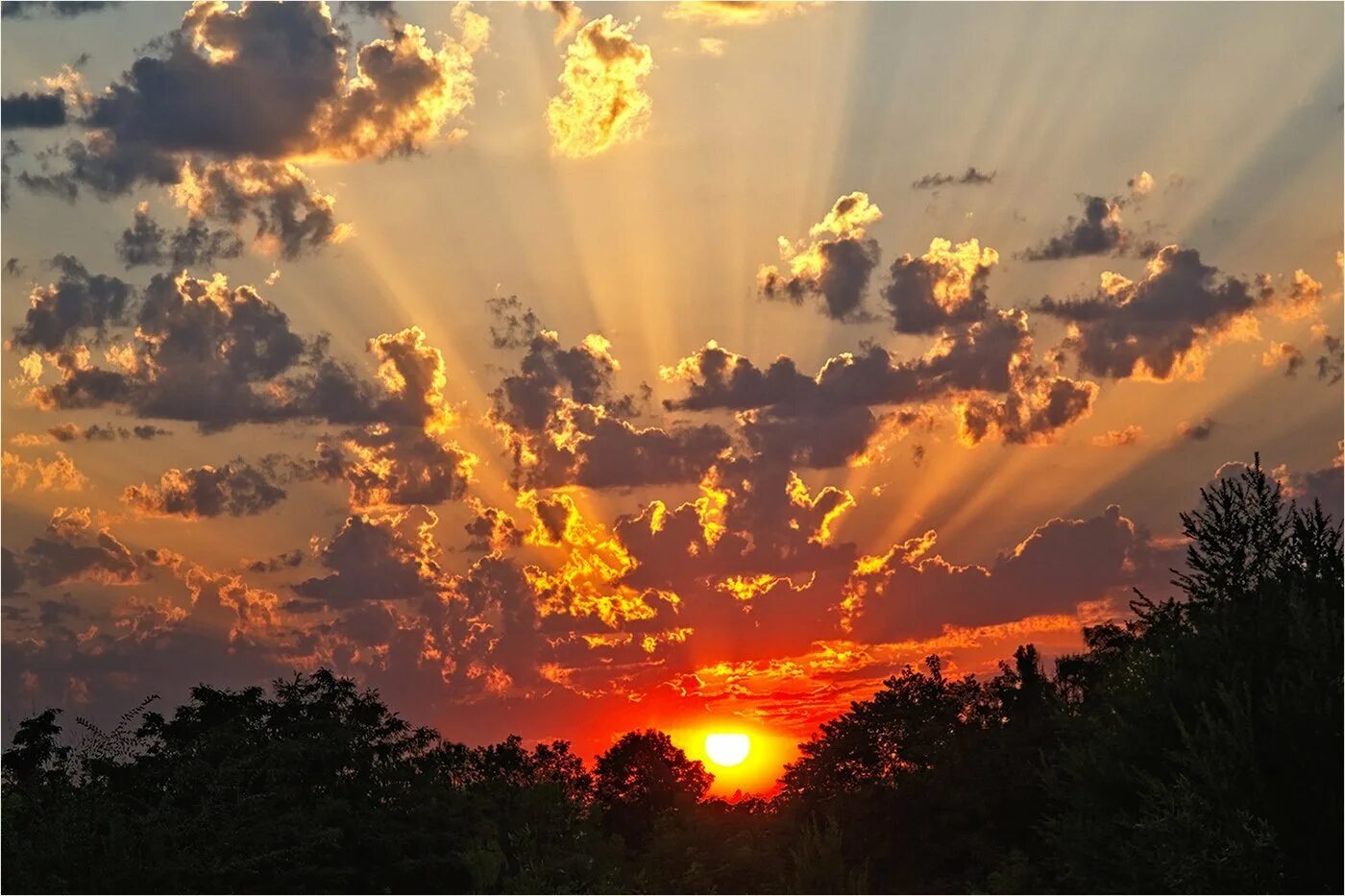 Красивое солнце. Небо лучи. Природа солнце. Лучи заходящего. Красивый рассвет.