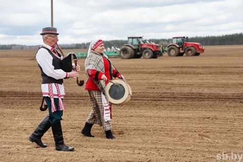 Погода на сегодня могилевской область