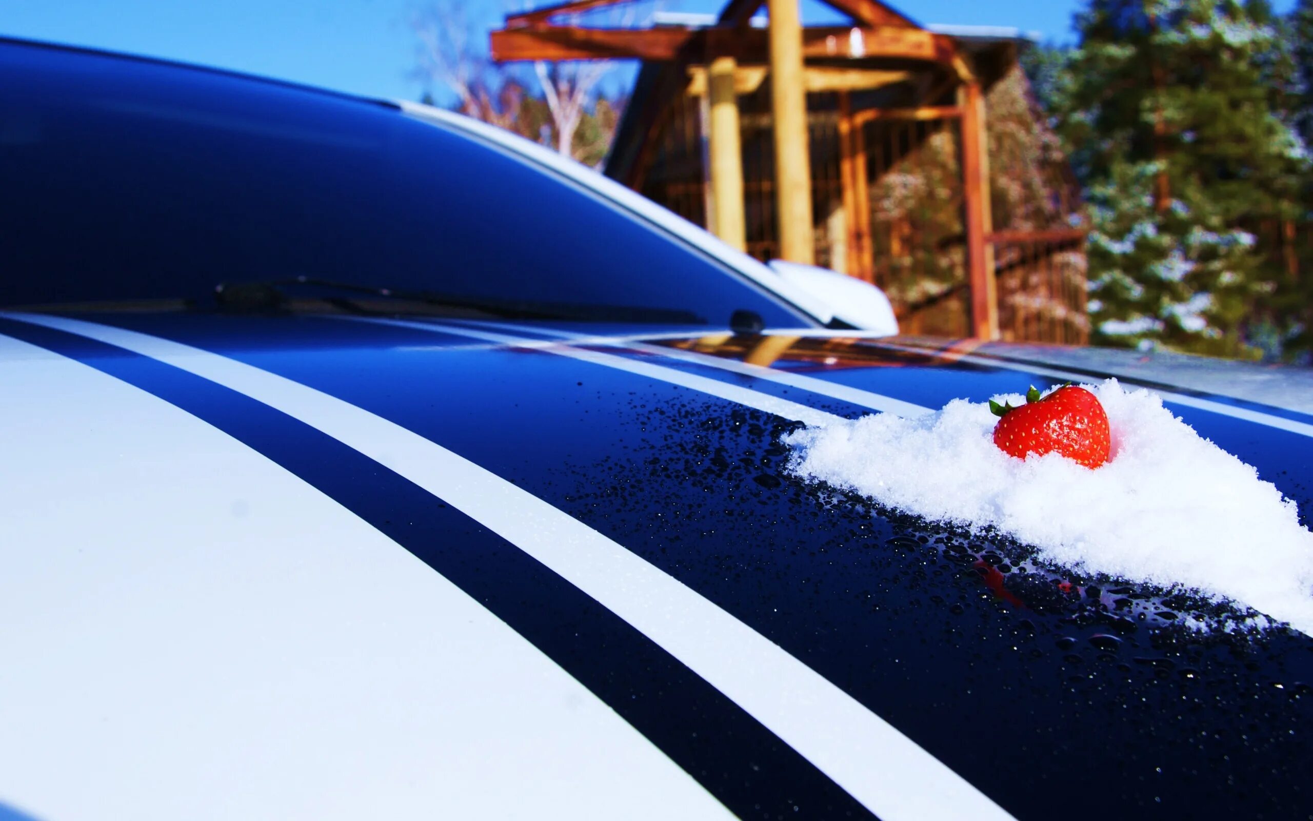 Машина в снегу. Автомобиль зимой. Машина под снегом. Машина под сугробом.