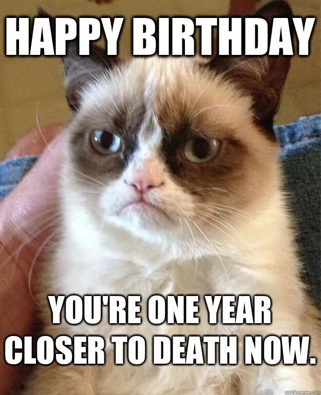 I m closer to you. Grumpy Cat с днем рождения. Happy Birthday Cat. Угрюмый кот с днем рождения Наташа. Grumpy Cat Birthday gif.