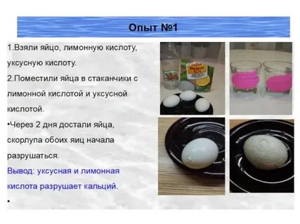 Яичная скорлупа выводит радиацию после рентгена