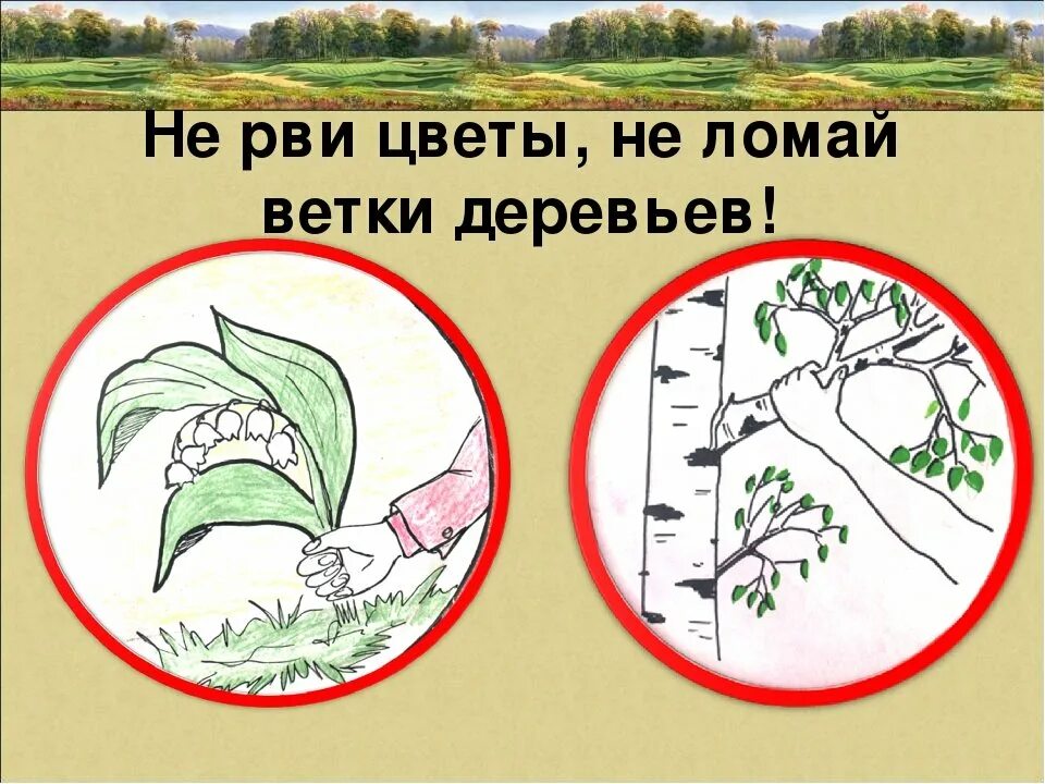 Придумай и нарисуй плакат берегите растения. Берегите растения. охрана растений рисунок. рисунок берегите растения. плакат берегите растения.