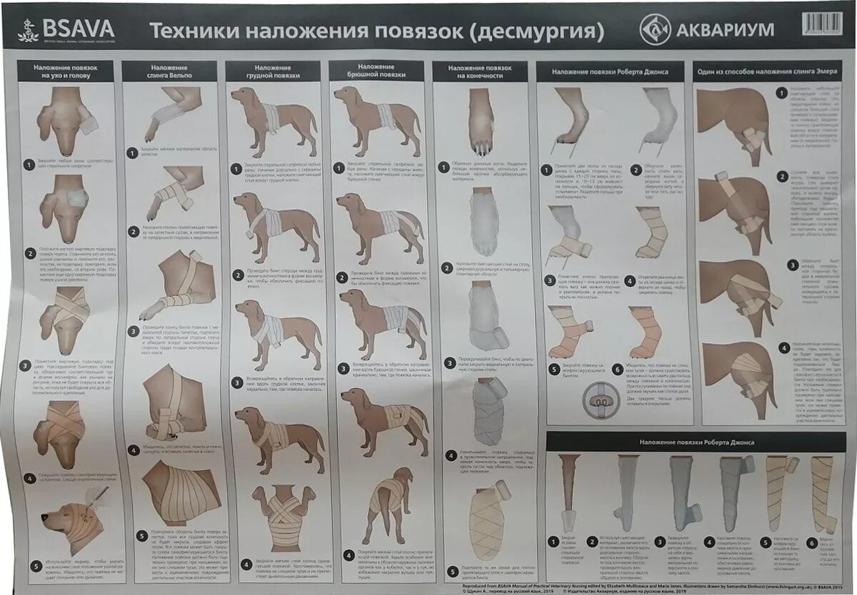 Техника наложения повязок животным. Наложение повязок Ветеринария. Десмургия Ветеринария. Клеевые повязки Ветеринария. Ползучая повязка Ветеринария.