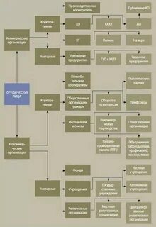 Организационно правовые основы контроля