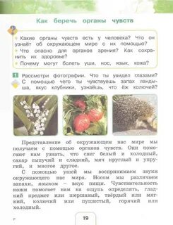 Окружающий мир 2 класс учебник 108 111