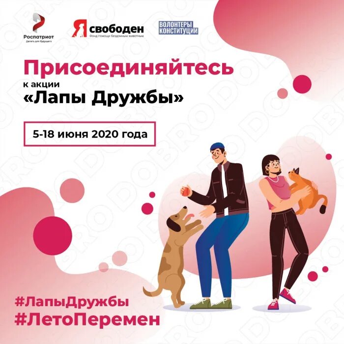 Лапа дружбы. Лапа дружбы акция. всероссийская акция лапа дружбы. акция лапа помощи для животных. фонд помощи лапа дружбы.