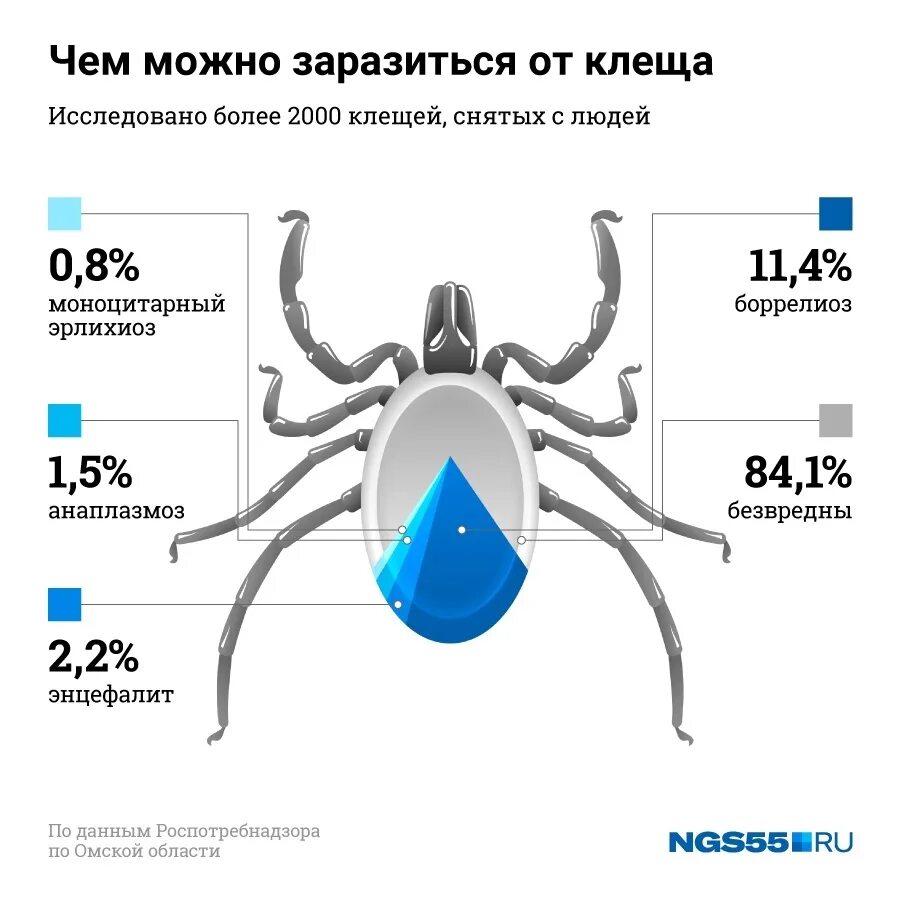 Какой процент клещей. Процент зараженных клещей. Вероятность энцефалитного клеща. Какой процент что клещ болен. Каков процент энцефалитных клещей.