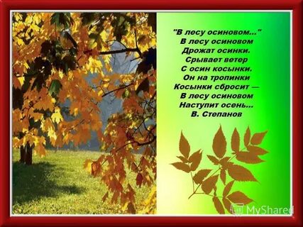 Однокоренные слова осинка осиновый осинкой
