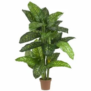 Real plant