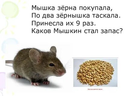 Мыши зерно