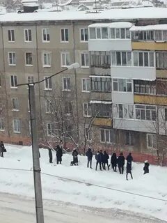 Типичные березники