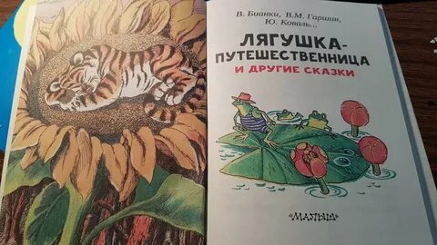 Сказки гаршина