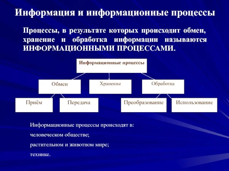 Научная информация и социальная информация. Информация и информационные процессы. Основные информационные процессы в информатике. Основные понятия информационного процесса. Информация и информационные процессы Информатика.