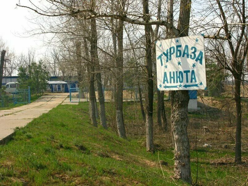 Бобры ульяновск. Турбаза Анюта. Турбаза Анюта Волгоград. Бобры Волгоград турбаза. Название турбазы прикольное.