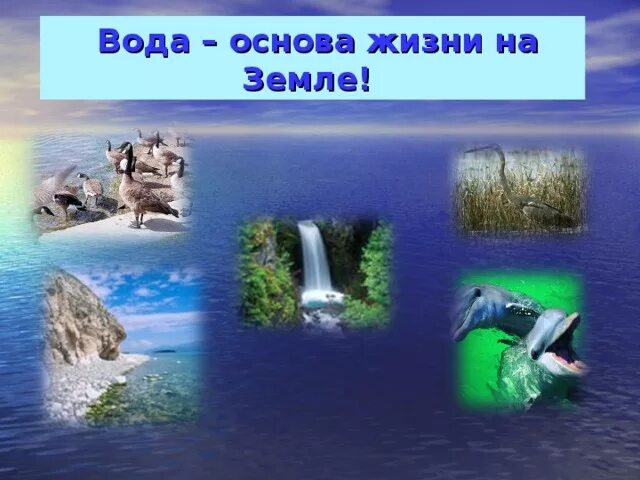 Основные источники жизни на земле. Вода основа жизни на земле. Вода источник жизни на земле. Вода — основа жизни на нашей планете.. Коллаж вода источник жизни.