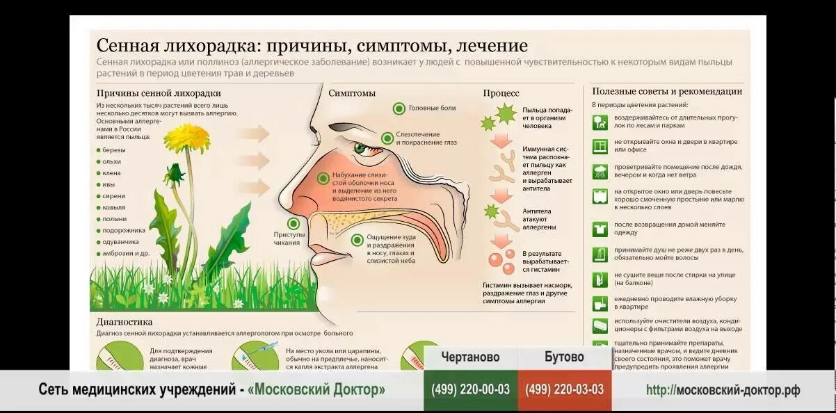 Сенная лихорадка поллиноз симптомы. Аллергическая реакция на цветение растений. Симптомы пыльцевой аллергии. Клинические проявления пыльцевой аллергии. Как проявляется аллергия на цветение