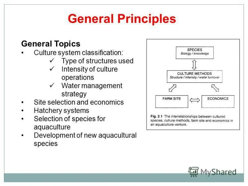 General topic. General topics. General topics Италия. Разговоров (General topics). General principles of Law.