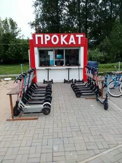 Аренда велосипеда самокат