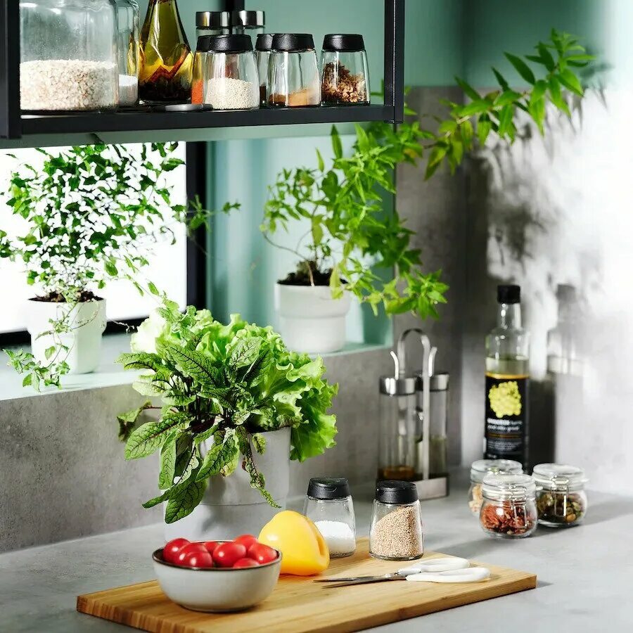 Ikea специи. Ikea специи. Ikea специи. Rajtan райтан. Ikea специи.