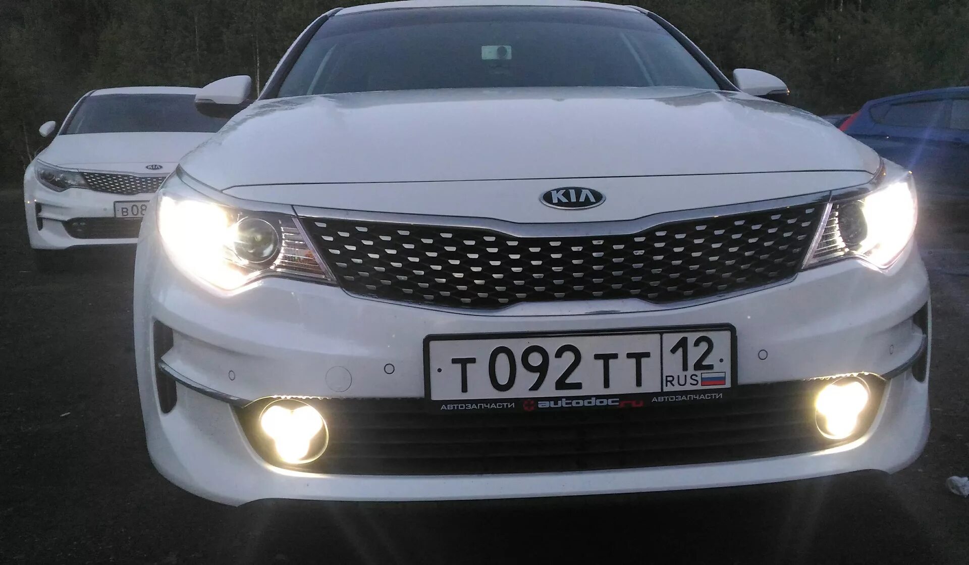 ПТФ для Kia Optima 4. Лед лампы Киа Оптима. Лед лампочки на Киа Оптима 4. Лампа ближнего света Киа Оптима 2017. Птф киа оптима