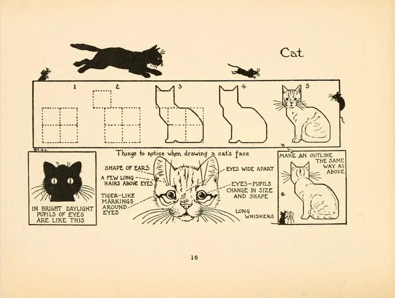 Как нарисовать кота нэпа. Как нарисовать кошку из слова cat. мануал кошка. книги эдвин лутц how to draw faces.