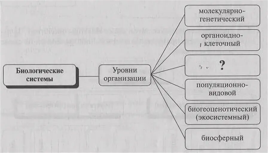 Взаимодействие биологических систем