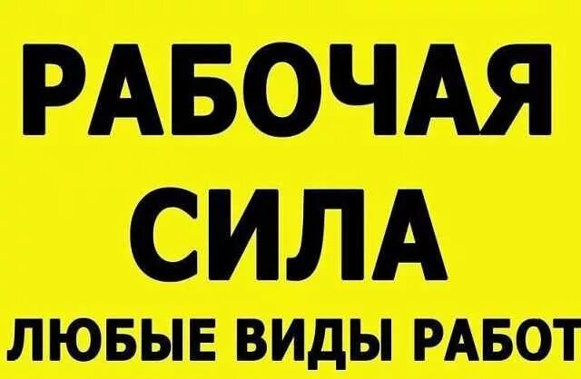 Вниманию рабочих. Выполняем любые виды работ. Выполним любую работу. Выполним любые виды работ. Выполним любые работы.