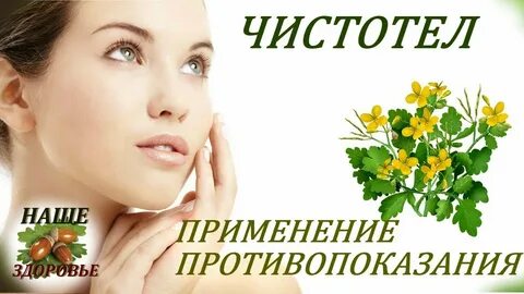 Лечебные свойства чистотела и противопоказания