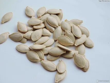 Кабачковые семена
