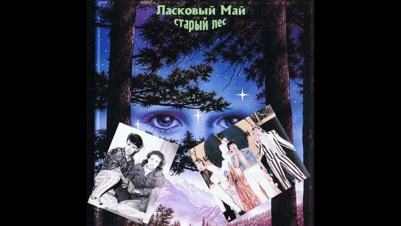 Ласковый май - 3-й альбом (старый лес) (1988). Ласковый май старый лес. Ласковый май альбом старый лес. Гр ласковый май старый лес. Ласковый май старые песни