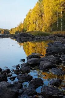 Отдых в карелии осенью 2024