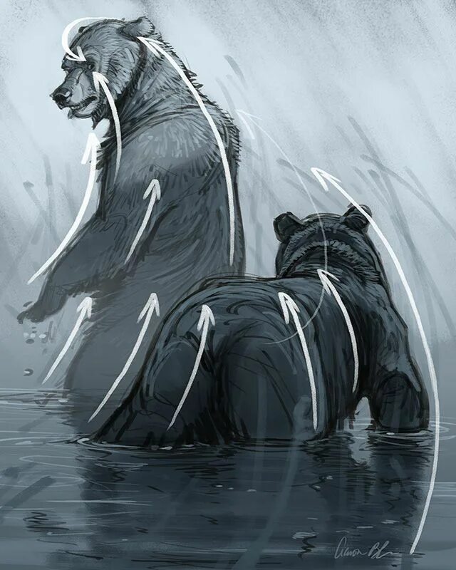 Aaron Blaise медведь. Беар медведь концепт арт. Одинокий медведь. Одинокий медведь арт. Drew born
