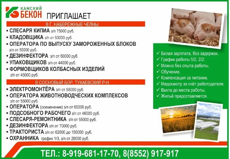 хантер вакансии набережные челны. работа набережные челны вакансии. есть работа набережные челны. хантер вакансии набережные челны. хантер вакансии набережные челны.