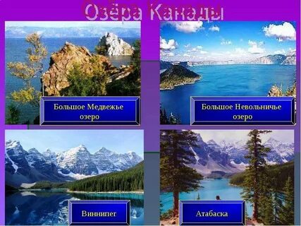 Проект канада