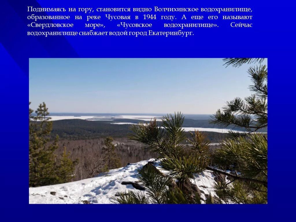 Гора Волчиха сообщение. Волчихинская гора. Горы у Волчихинского водохранилища. Сообщение про Волчиху. По сугробу волчиха взобралась