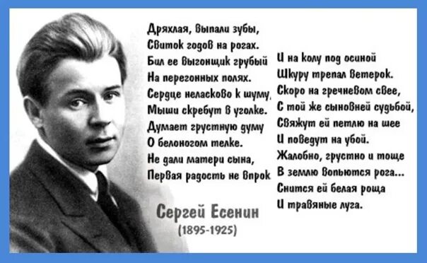 Стих есенина корова. Стихи Есенина. Стихи Сергея Есенина.