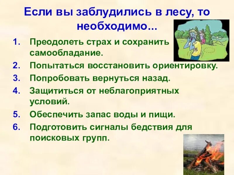 План действий если потерялся в лесу. Презентация если заблудился в лесу. Алгоритм действий если вы заблудились в лесу. Как действовать если заблудился в лесу памятка. Лес 3 действия