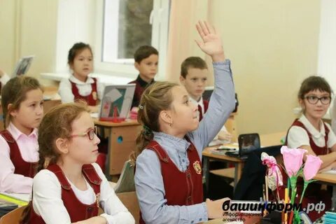 Школа умники и умницы