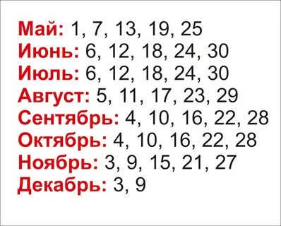 Расписание 142