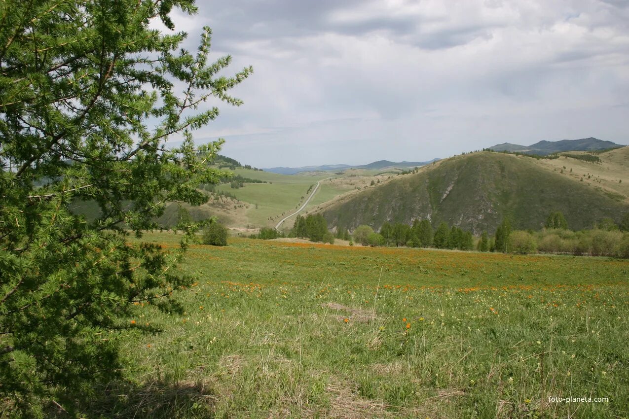 Село Сентелек Чарышский район. Река Тулата Чарышский район. Тулата Чарышский район Алтайский край. Перевал Сентелек.