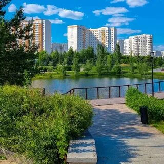 Цветы южное бутово