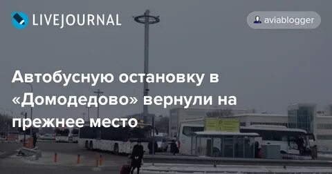 Какой автобус едет до аэропорта домодедово