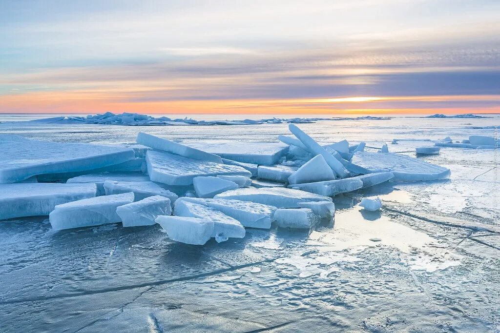 На льдах какого залива обитают белые. Льдина в море. Лед льдины. Льдины на реке. Красивые льдины.