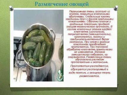 Какой процесс происходит при поджаривании овощей