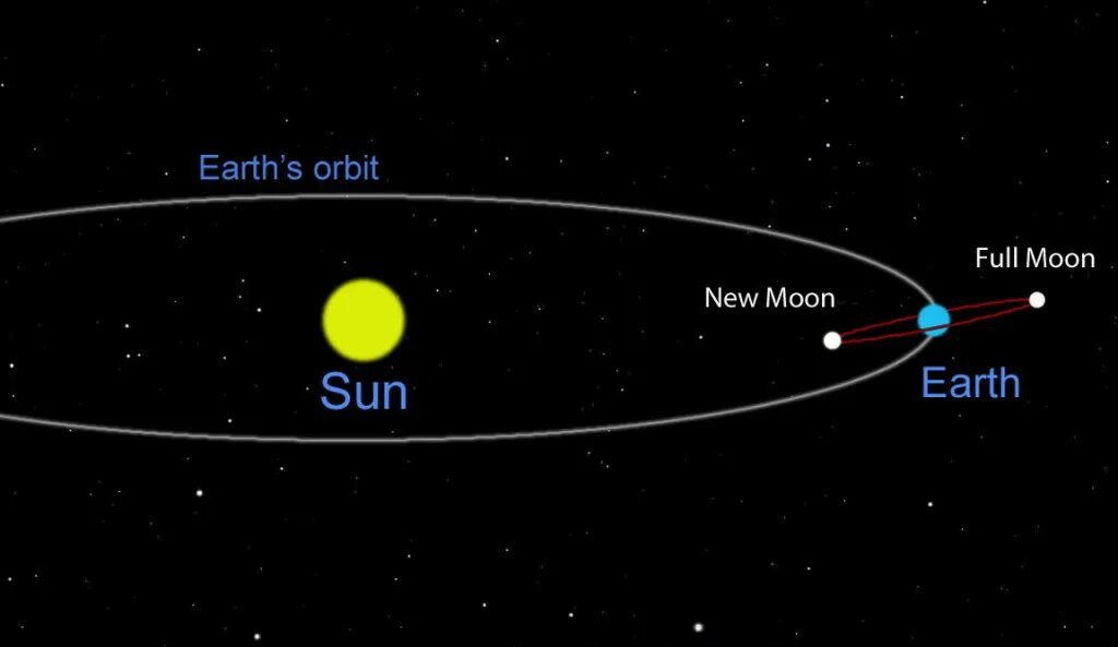 Moon Orbit. Орбита земли и Луны. Sun Moon Earth Orbit. Модель солнце земля Луна.