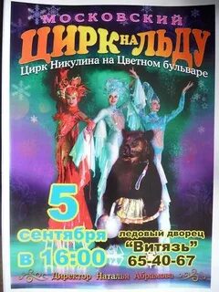 Выборы цирк